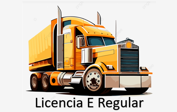 Licencia Tipo E Regular 2025 2026